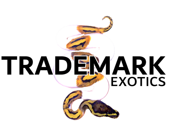 Trademark Exotics